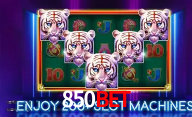 850bet: A Experiência de Casino com Jogos de Mesa ao Vivo